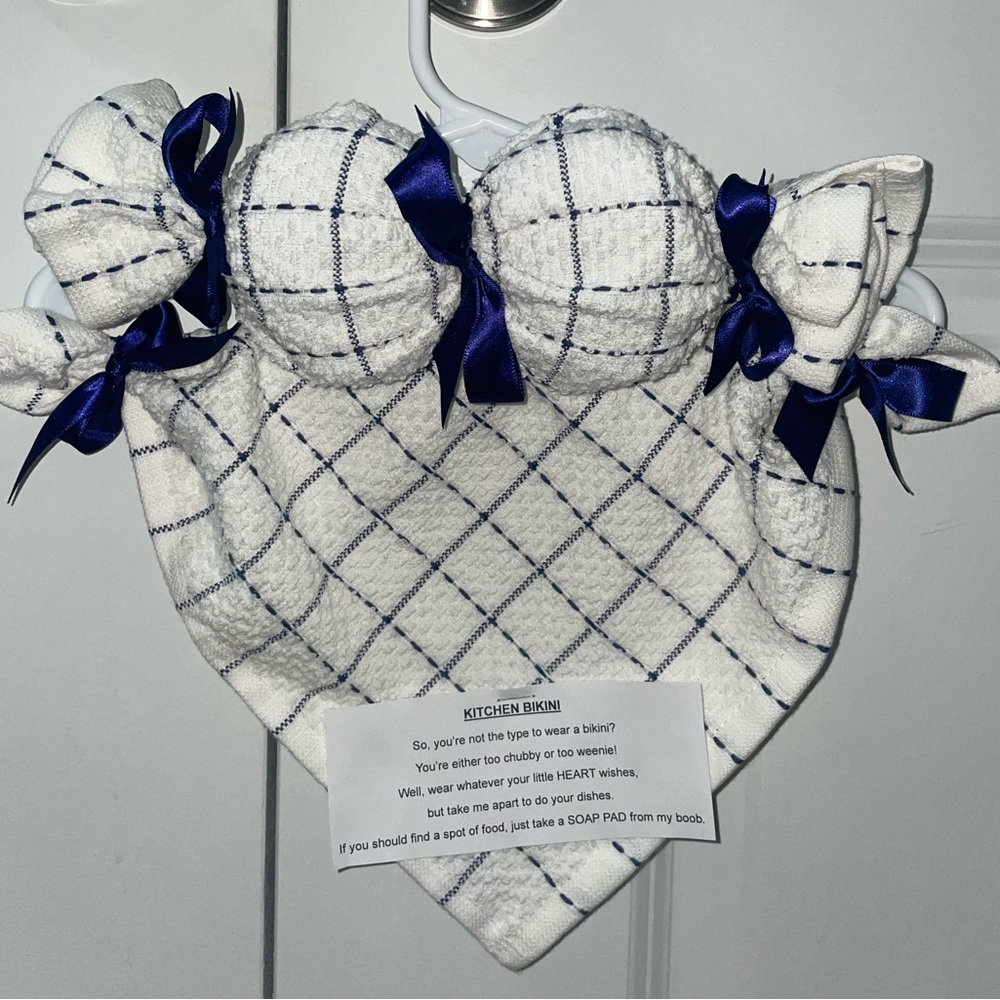 kitchen dish cloth bikini